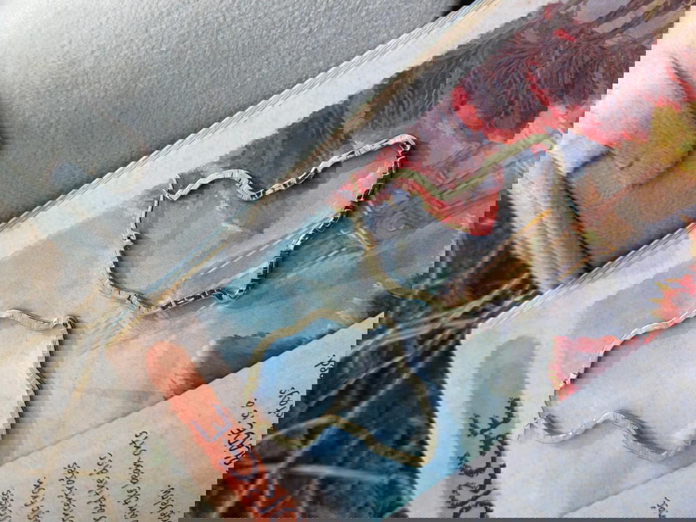 Stainless steel  Preview Image