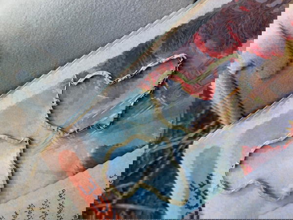 Stainless steel  Image 2 Preview