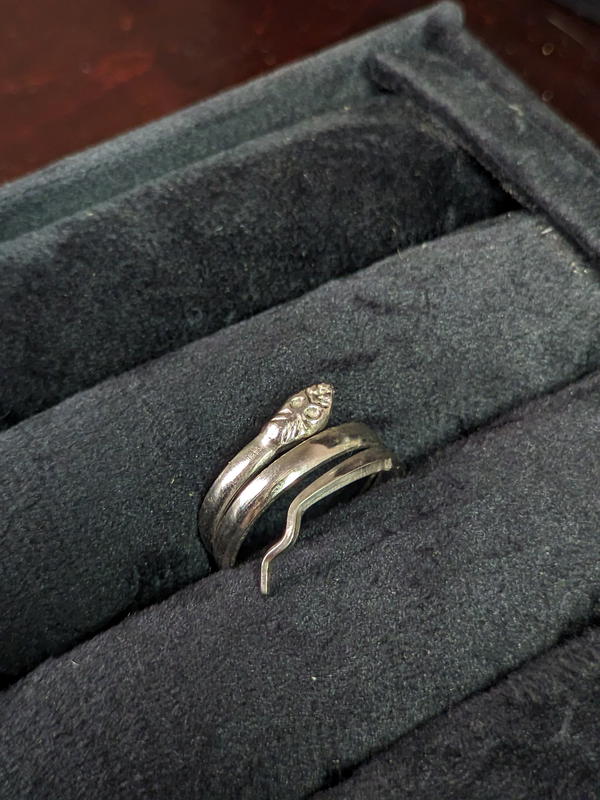 Silver snake Image 1 Preview