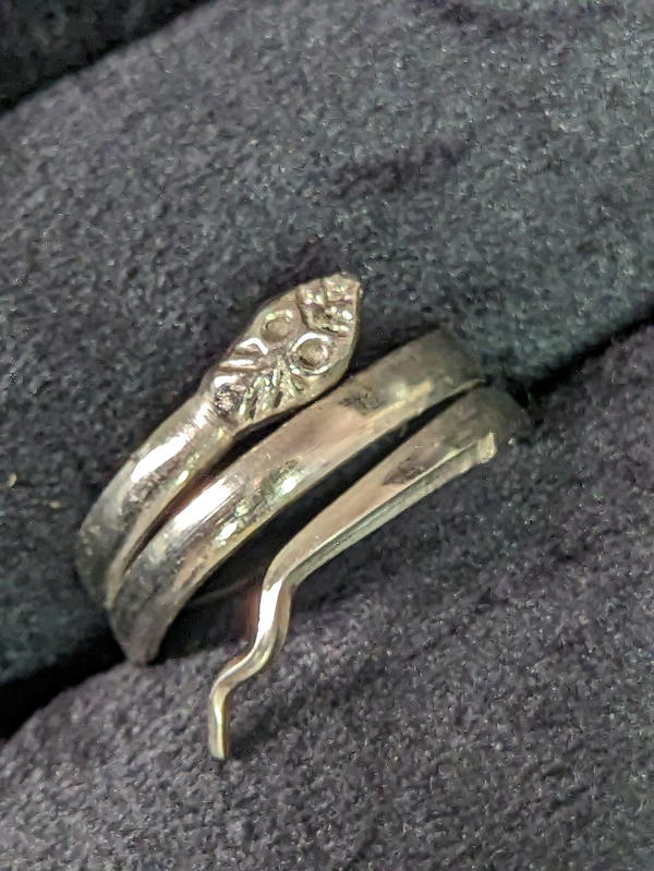 Silver snake Image 2 Preview