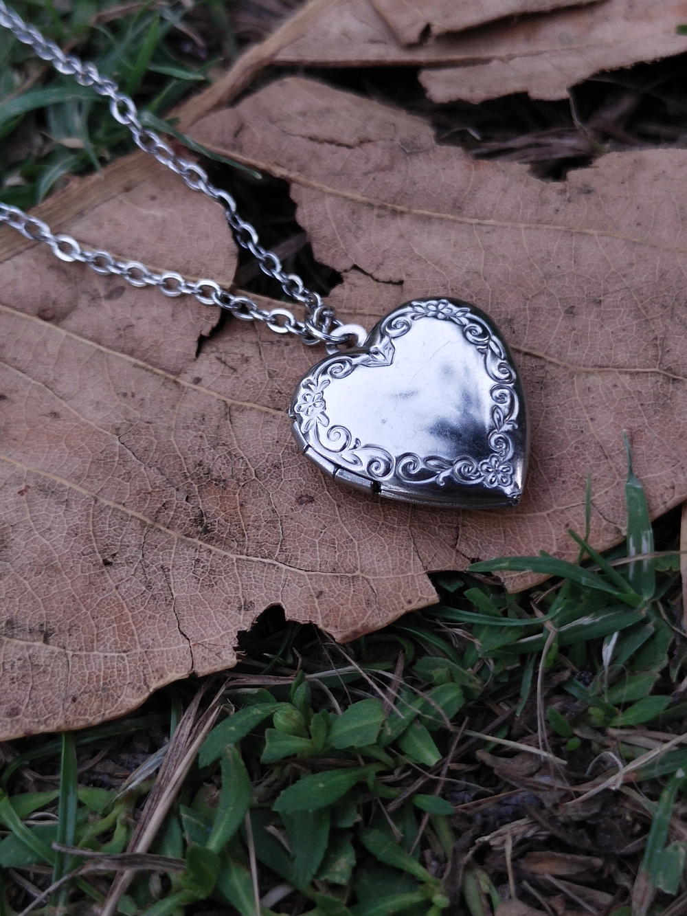 Locket necklace  Preview Image