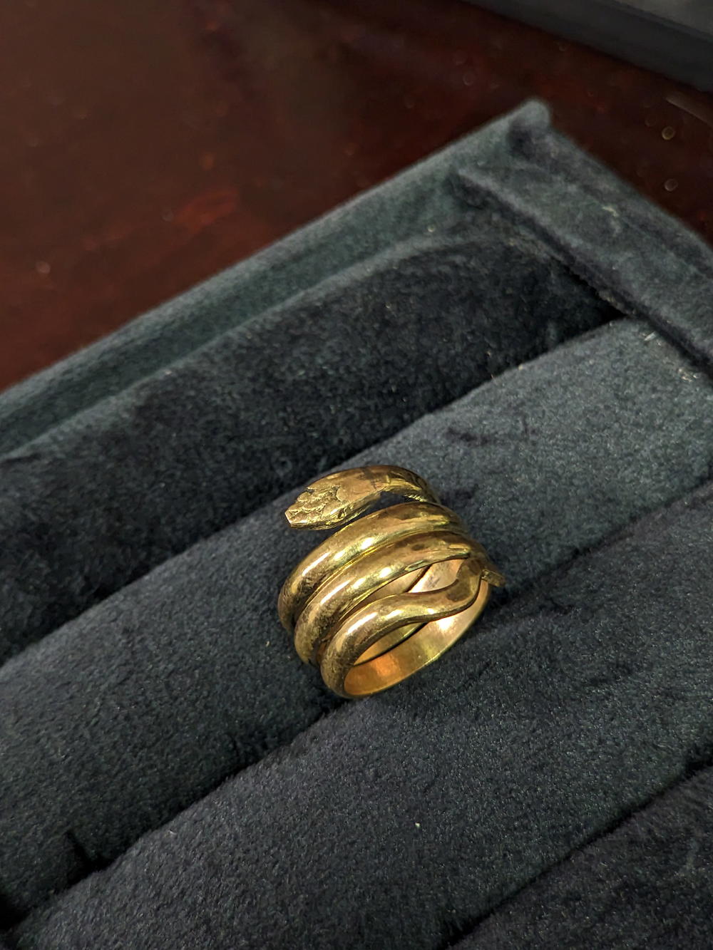Gold snake Preview Image