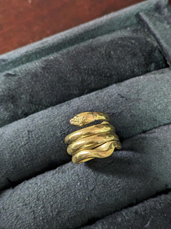 Gold snake Image 2 Preview