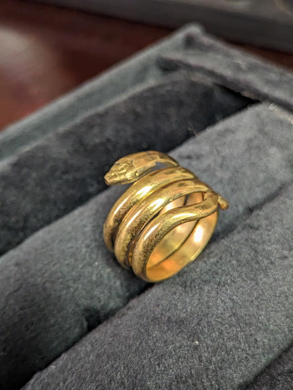 Gold snake Image 3 Preview