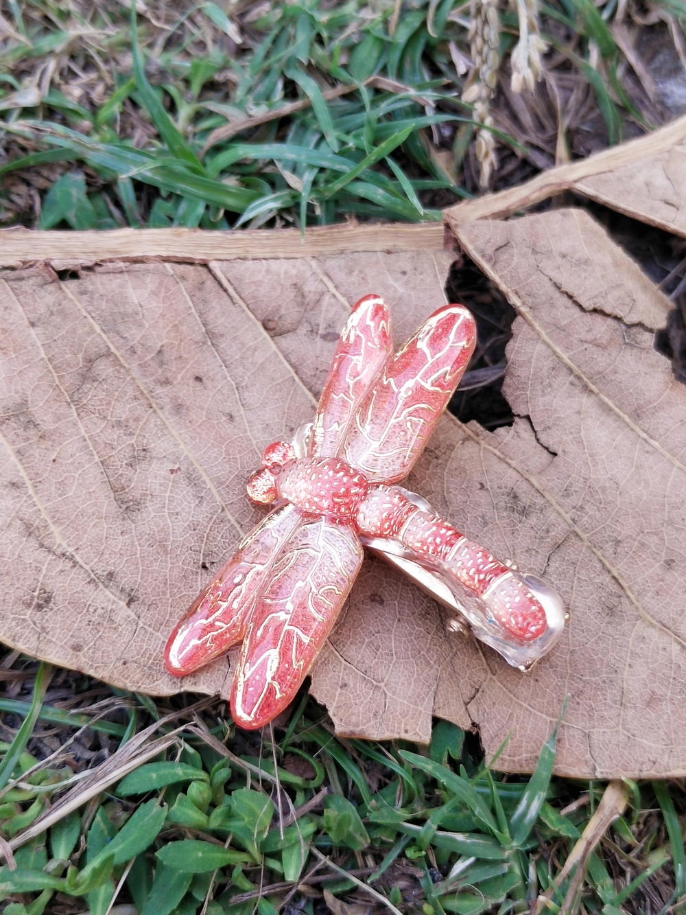 Dragonfly clip  Preview Image