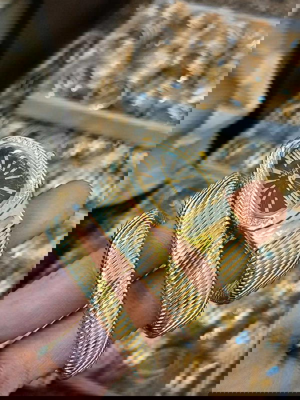 snake watch  Image 5 Preview