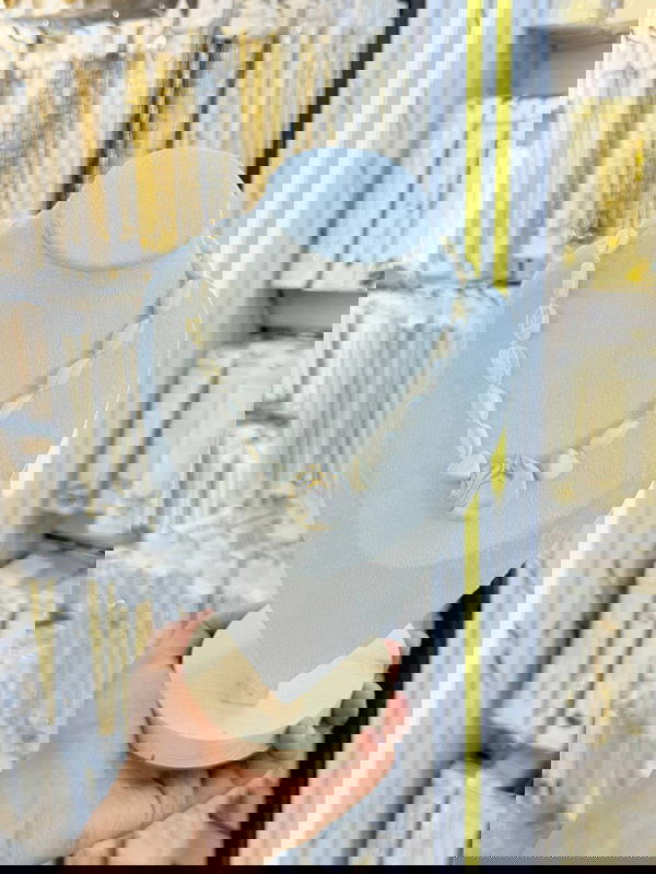 Seashell Necklace  Image 5 Preview