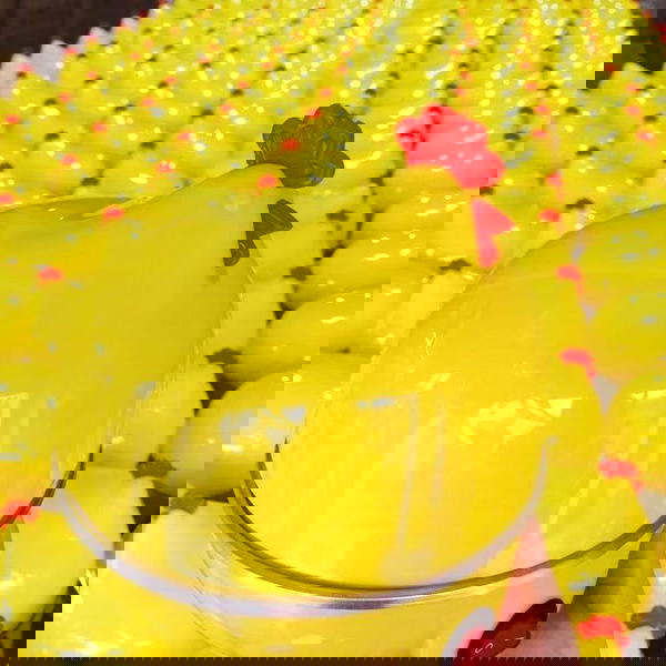 جهاز سلق البيض  Image 7 Preview