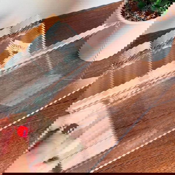 ؤف توابل اكليرك  Image 1 Preview