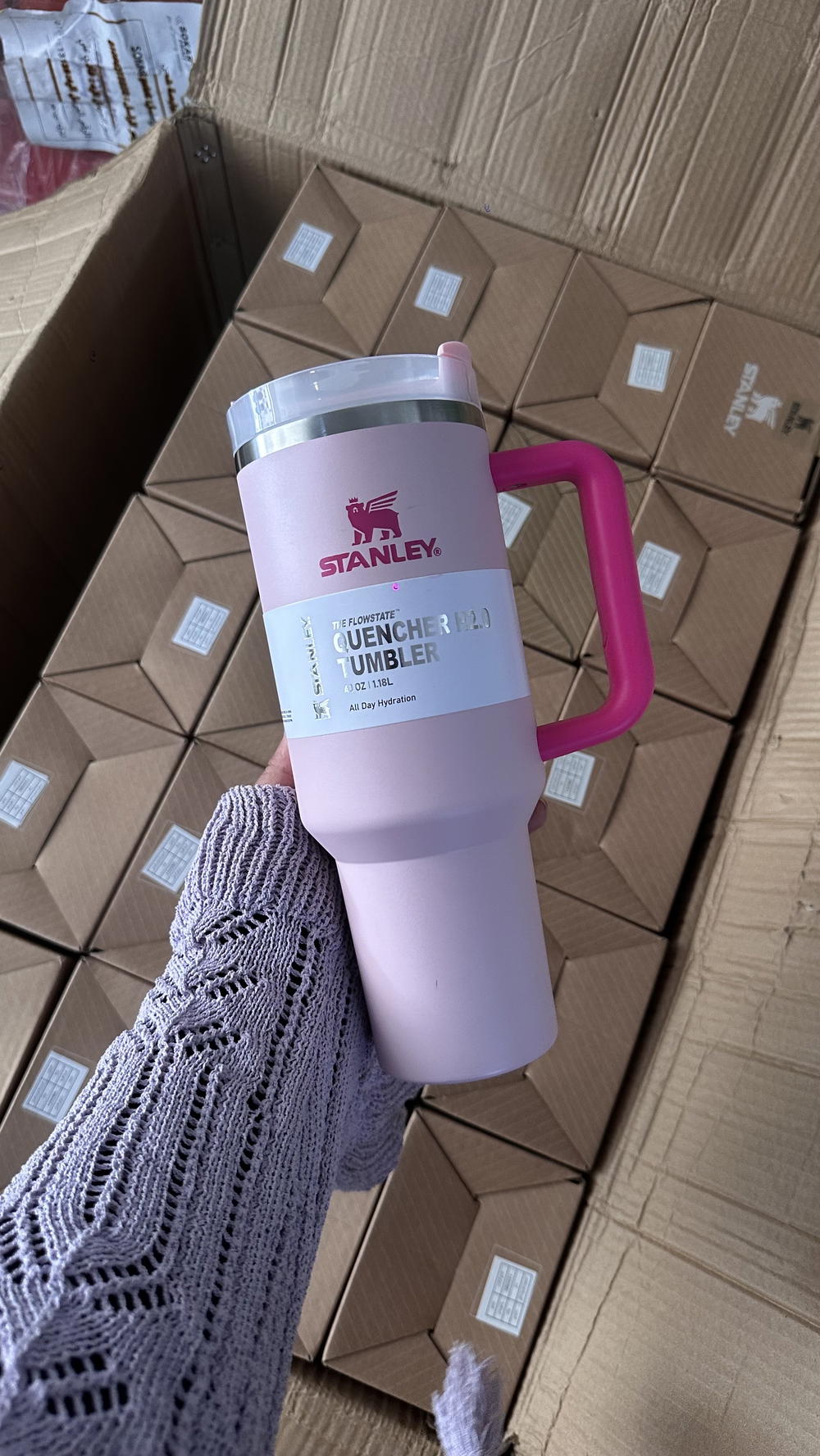 flamngo stanlycup Preview Image
