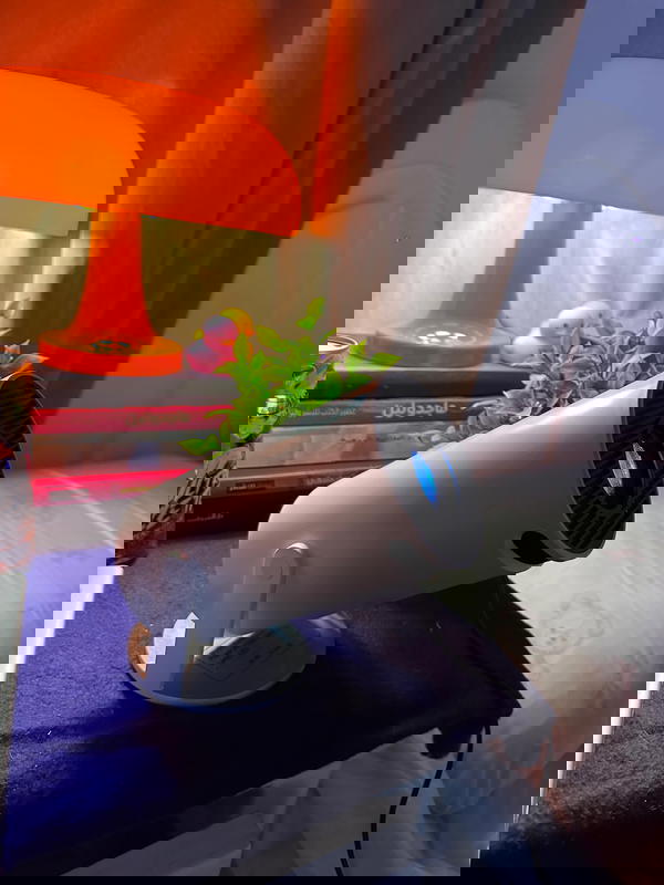 projector ultra hd Image 2 Preview