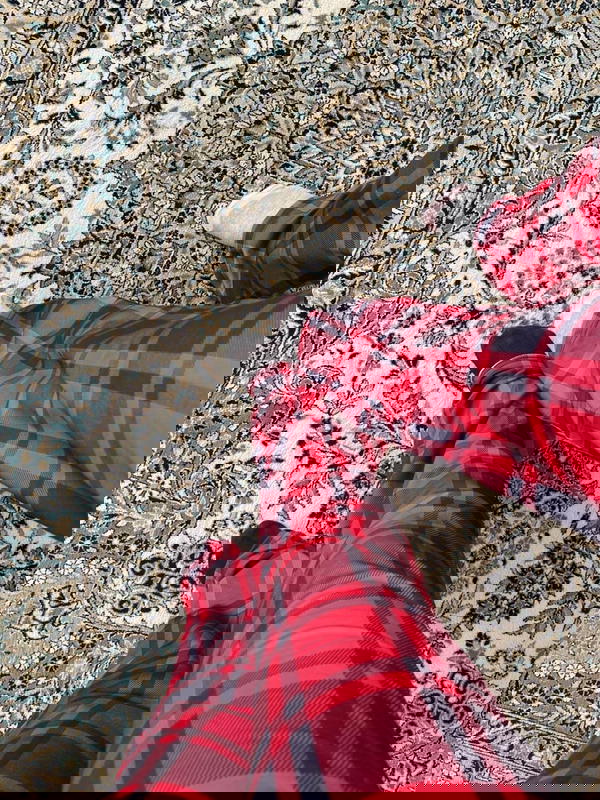 red pants Image 3 Preview