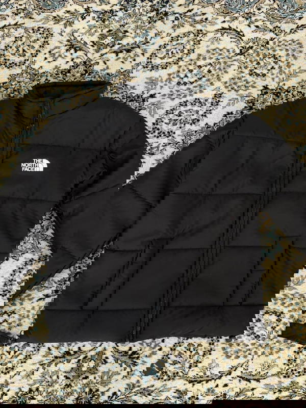 the north face jacket Image 1 Preview