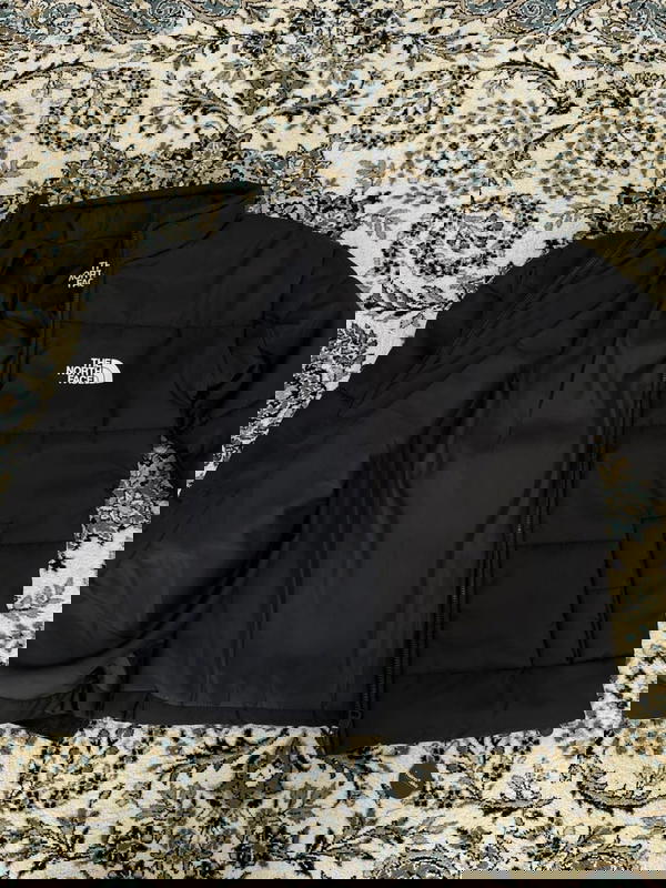 the north face jacket Image 2 Preview