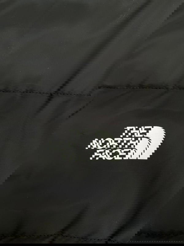 the north face jacket Image 3 Preview