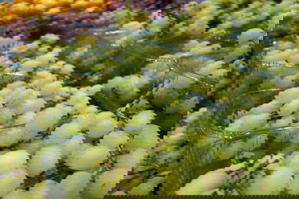 عنب اخضر  Image 2 Preview