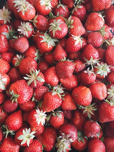 فروله🍓 Preview Image