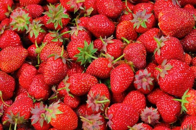 فروله🍓 Image 4 Preview