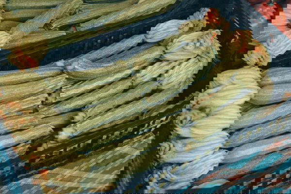 كوسة Image 2 Preview