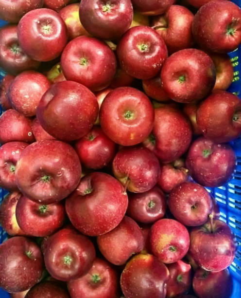 تفاح احمر🍎 Preview Image
