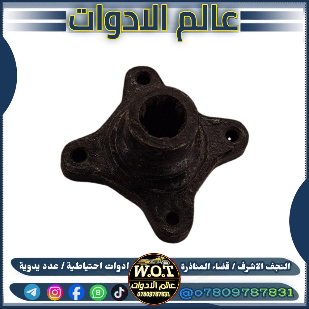 نجمة كاردن ستوتة  Preview Image