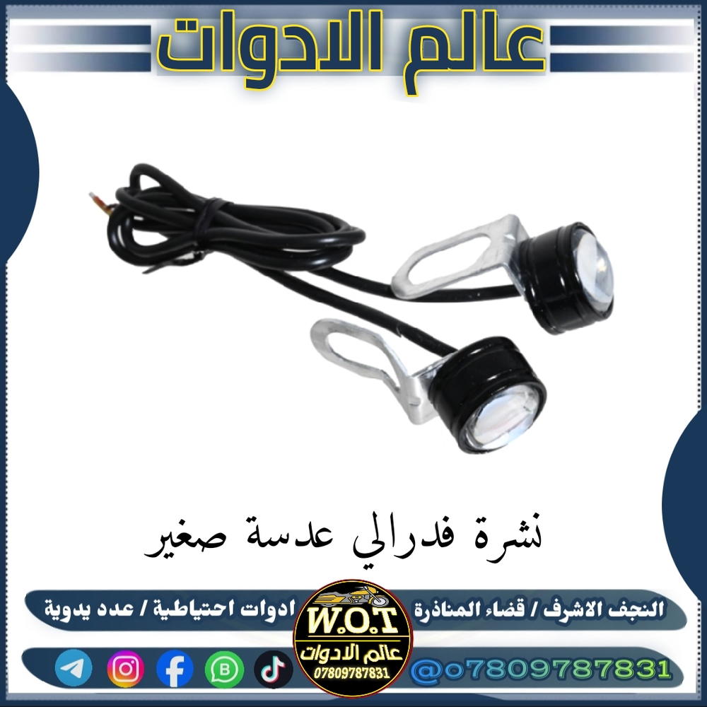نشرة فدرالي عدسة صغيرة زوج Preview Image