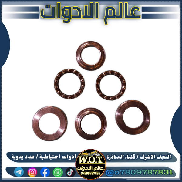تخم بولبرين صدر 4 كير صجم  Image 1 Preview