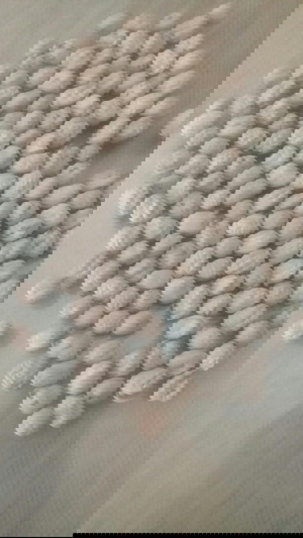 المصطفى حمص 500 جرام Image 1 Preview