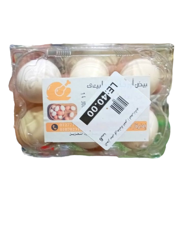 بيض اورجانيك النجار ابيض (6 بيضه) Image 1 Preview