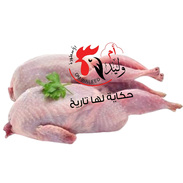حمام بلدي فريش الطبق فيه 2 Image 1 Preview