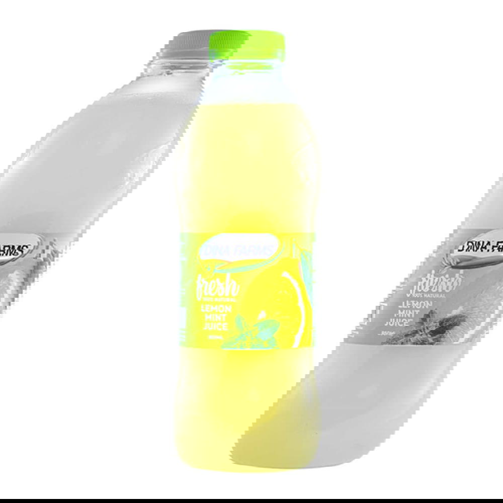 مزارع دينا فريش عصير ليمون بالنعناع 250 مللي Preview Image