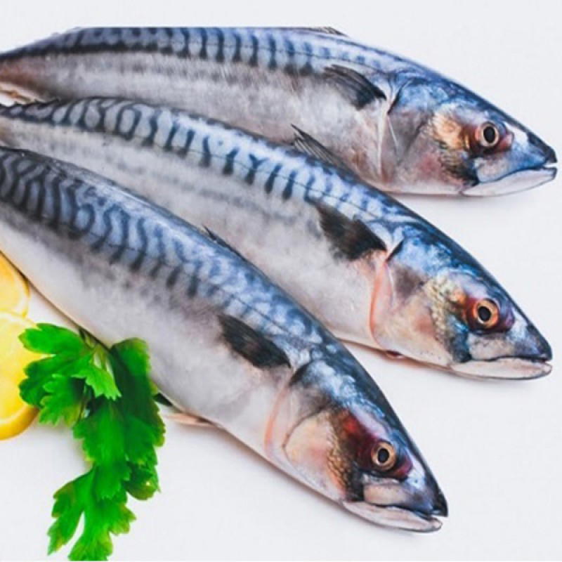 سمك ماكريل بالكيلو  Preview Image