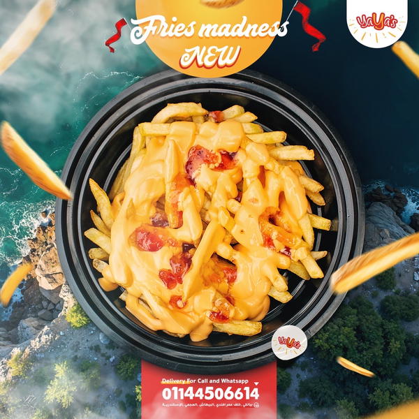 Fries madness  Image 1 Preview