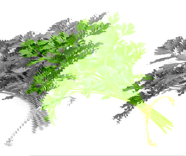 بقدونس  Image 1 Preview