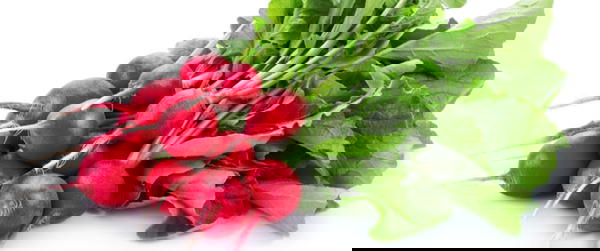 نص كيلو فجل اححمر  Image 1 Preview