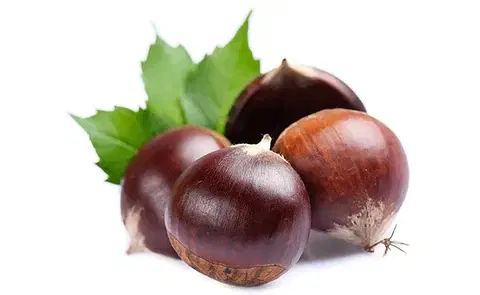 نص  كيلو ابو فروة  Preview Image