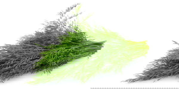 شبت  Image 1 Preview