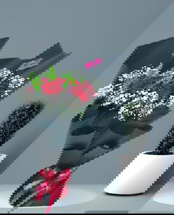 zf 04 Image 1 Preview