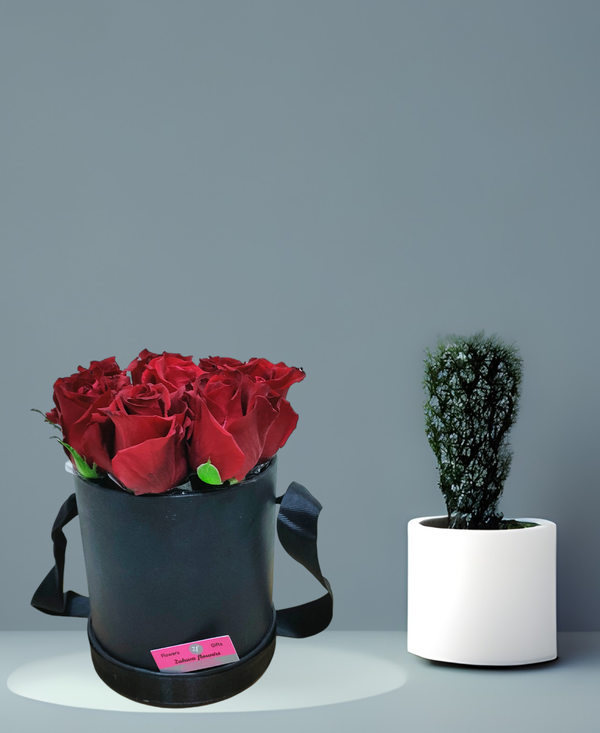 zf 05R Image 1 Preview