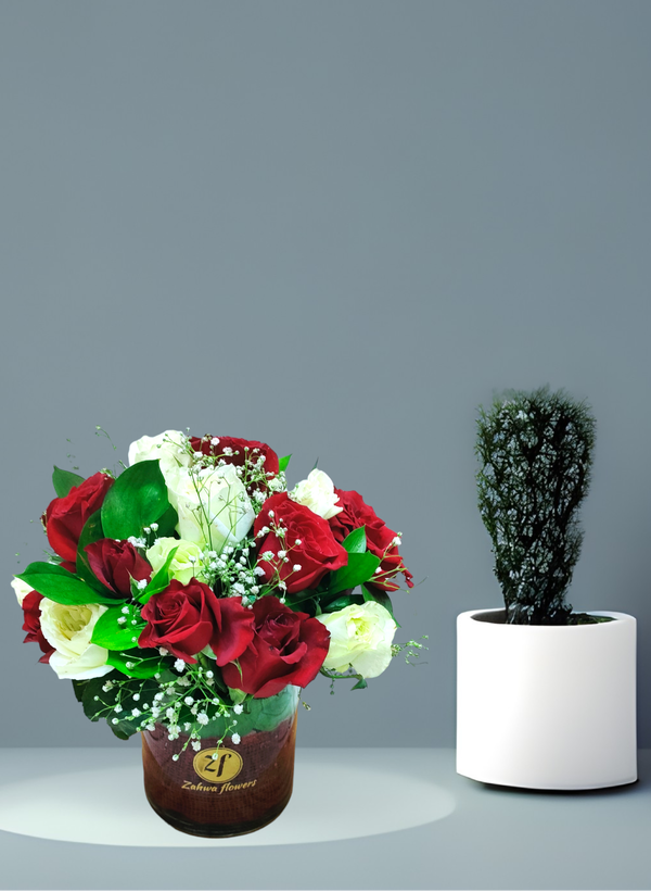 zf 06R Image 1 Preview