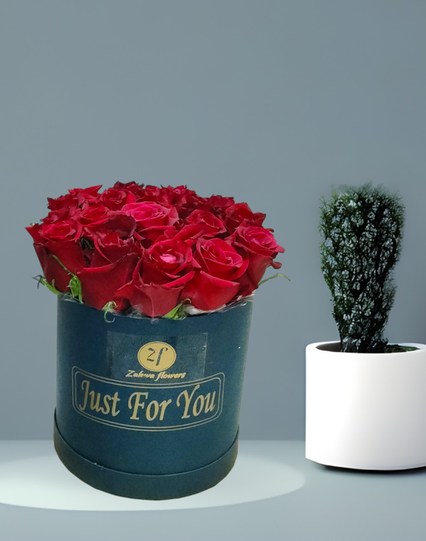 zf 08  R Image 1 Preview