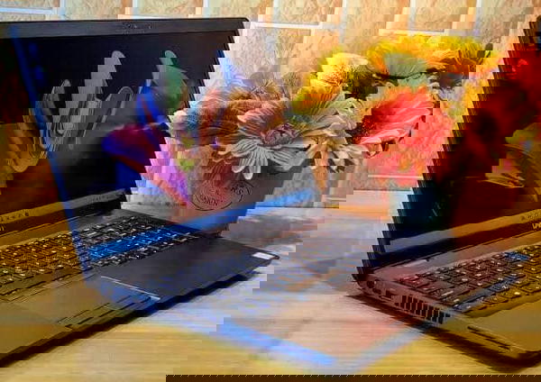 Dell Precision 3541 Image 4 Preview